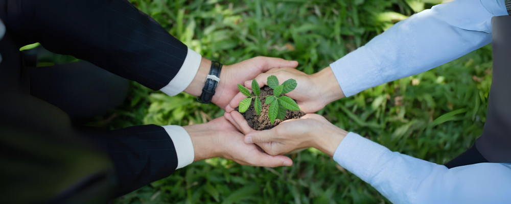 corporate_hands_plant corporate_hands_plant